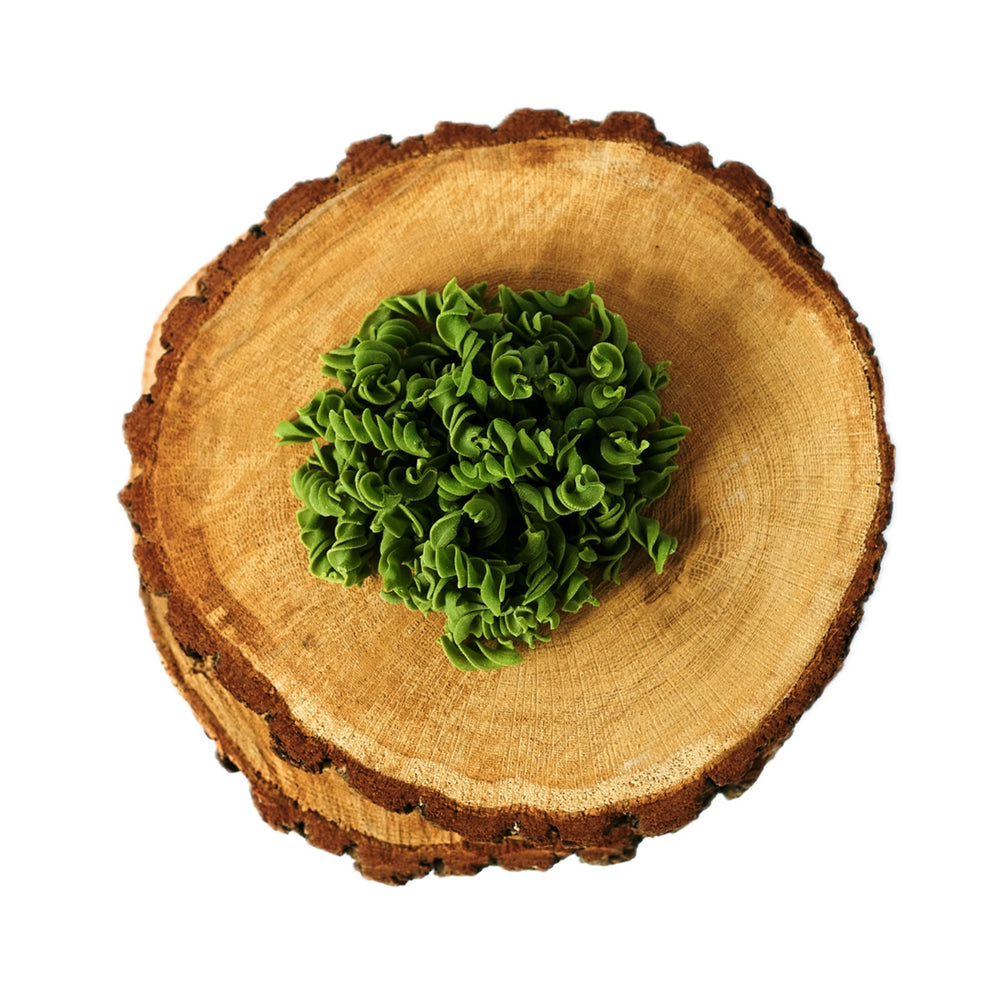 Wild Garlic Pasta Spirals 250g