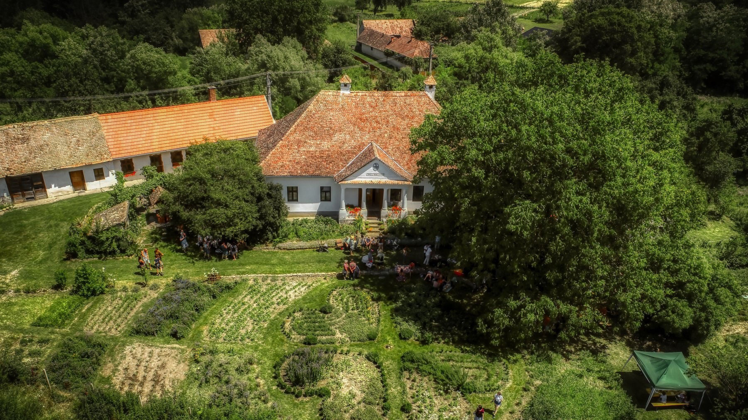 Herb Collection | De Mână