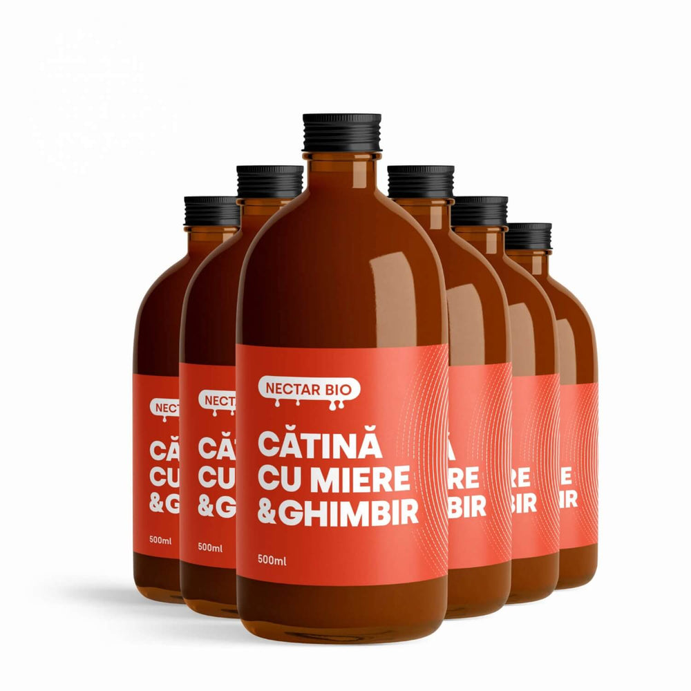 Sea Buckthorn Nectar, Ginger & Honey 500ml