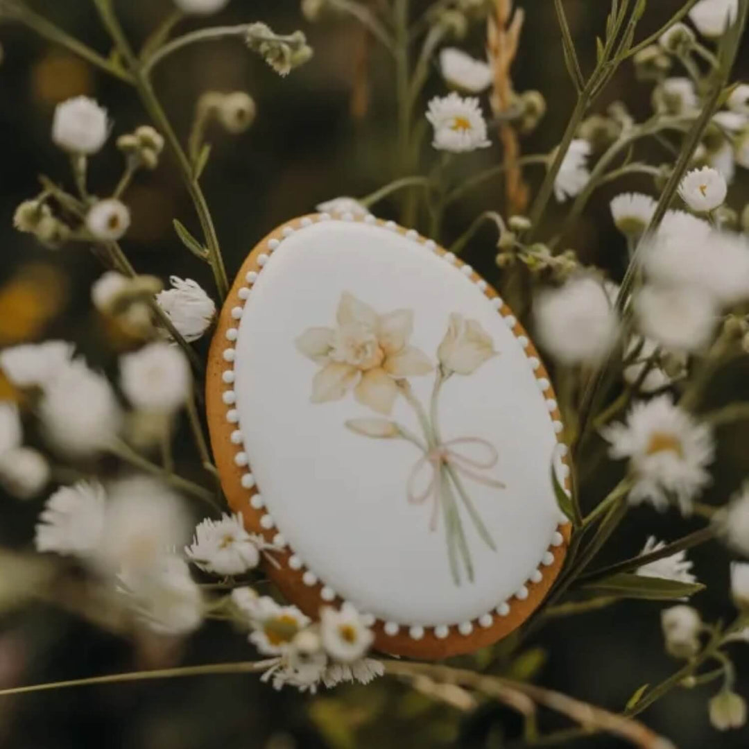 Daffodil Iced Gingerbread 'Turta Dulce'