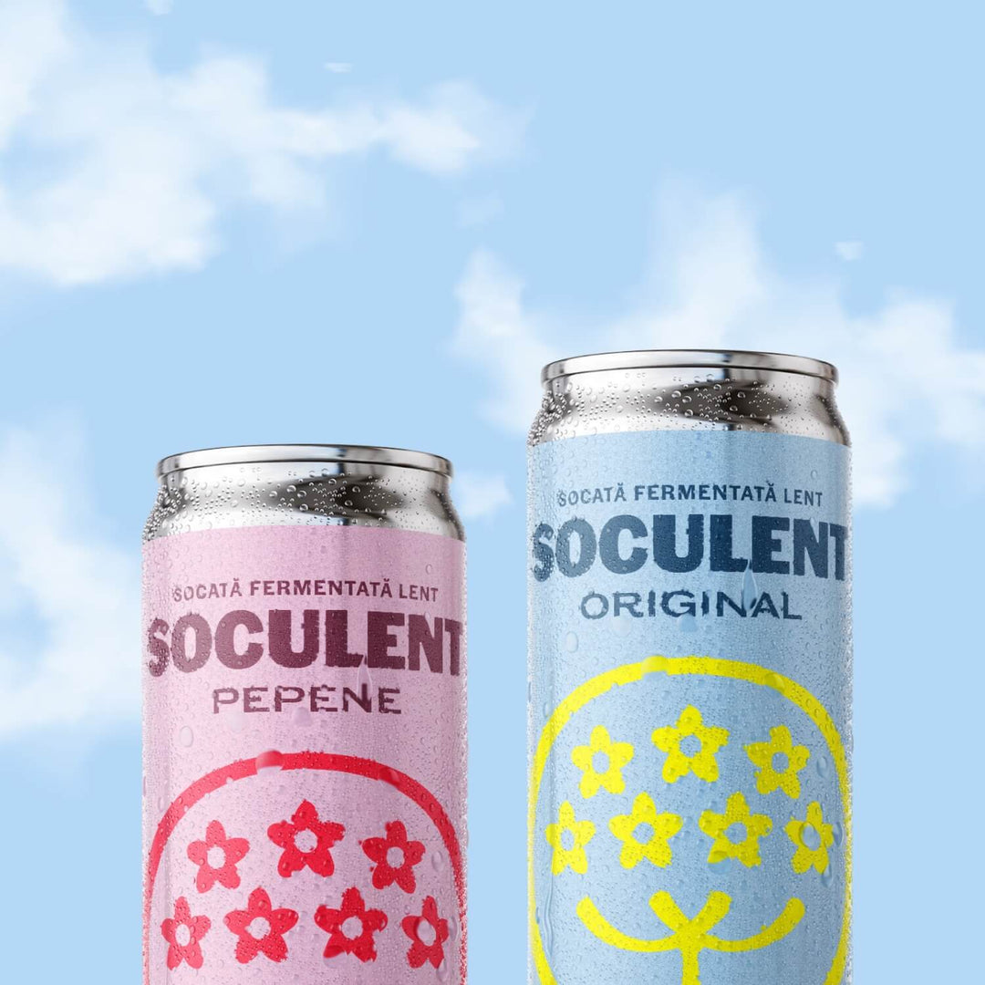 Watermelon & Elderflower Socată 330ml