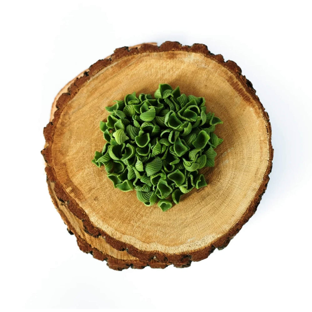 Wild Garlic Pasta Shells 250g