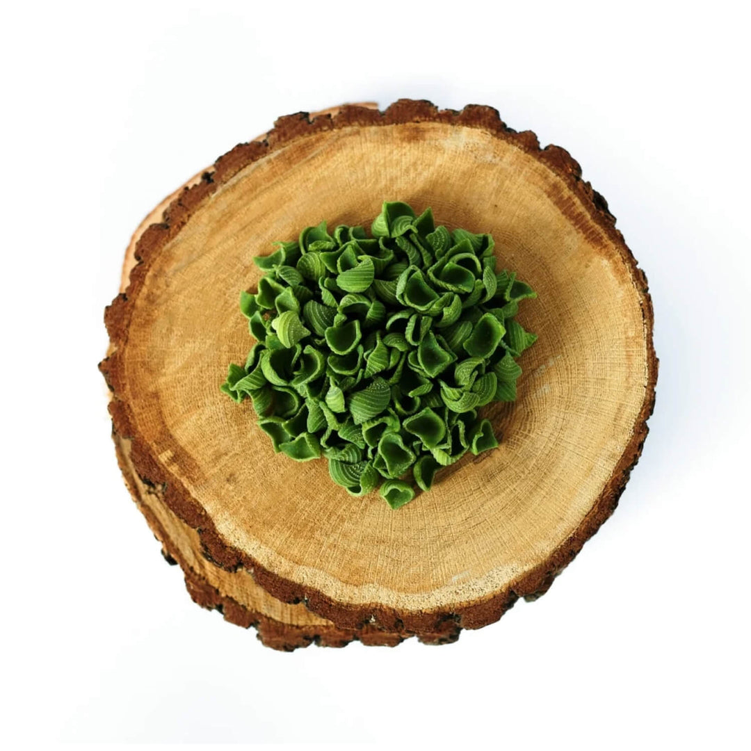Wild Garlic Pasta Shells 250g