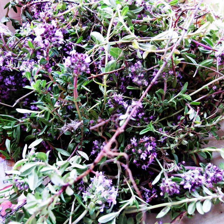 Wild thyme flowers - De Mână